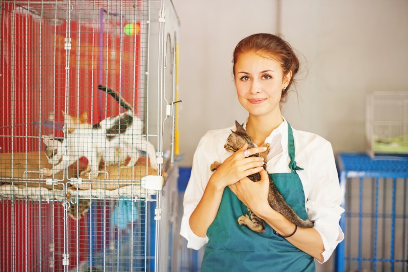 woman working in animal shelter