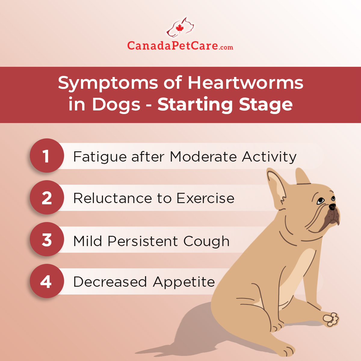 what are the first signs of heartworms in dogs