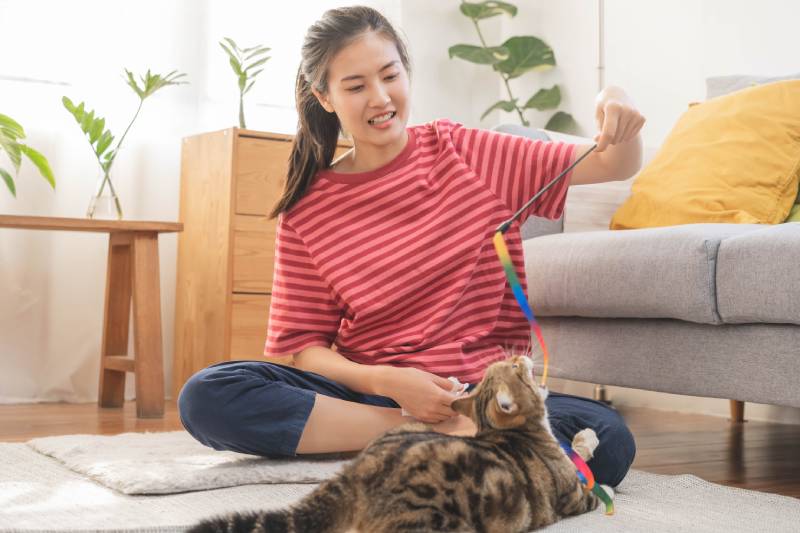 woman playing with her cat