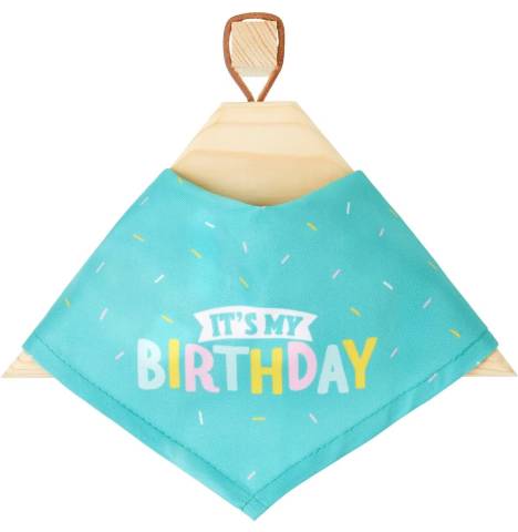 Frisco Dog & Cat Birthday Bandana