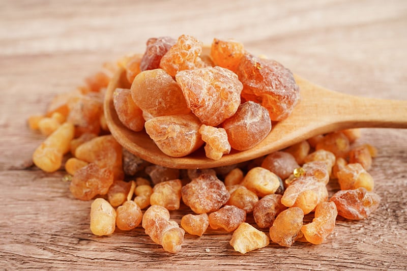 Frankincense or olibanum aromatic resin used in incense and perfumes