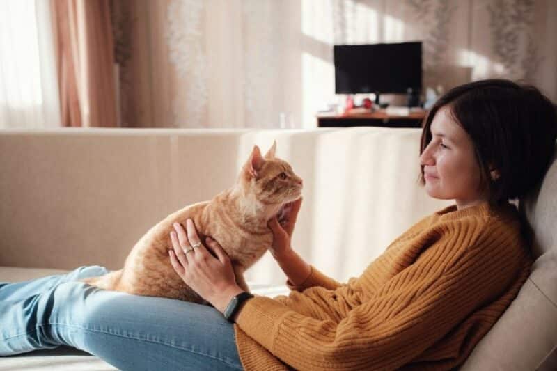 cat owner looking at her pet