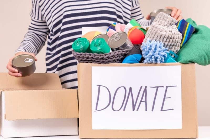 Volunteer preparing animal donation box for animal shelter