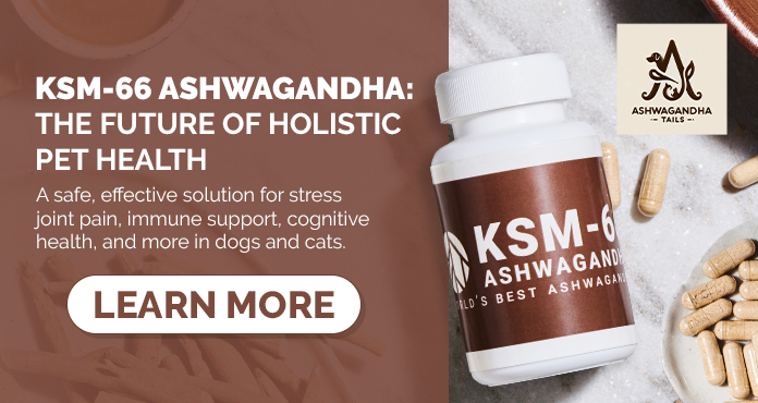 10 ways that ashwagandha can help your dog