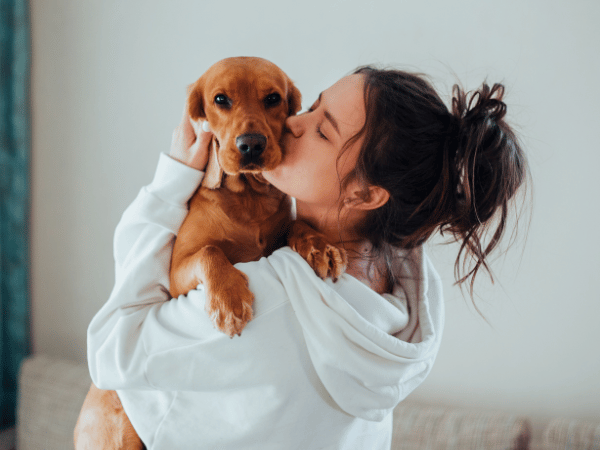 An emotional support animal dog in Colorado comforting their owner