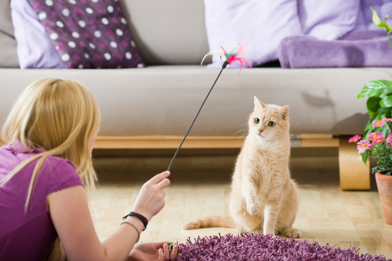 girl playing with her cat