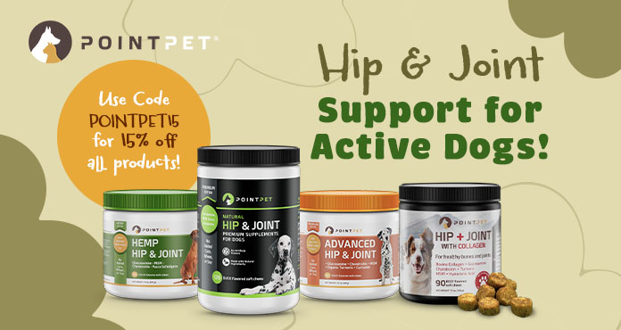 Hip & Joint Health for Active Dogs