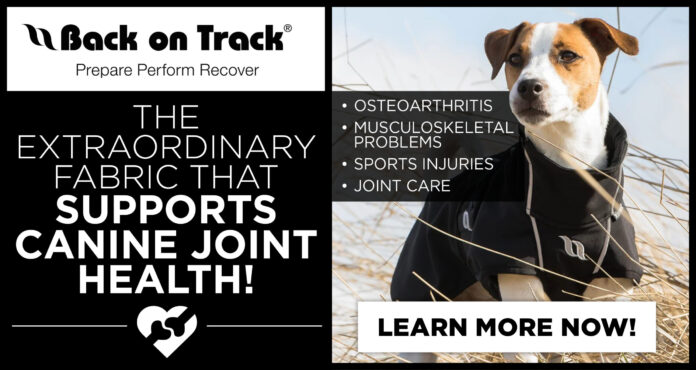 Supports Canine Joint Health