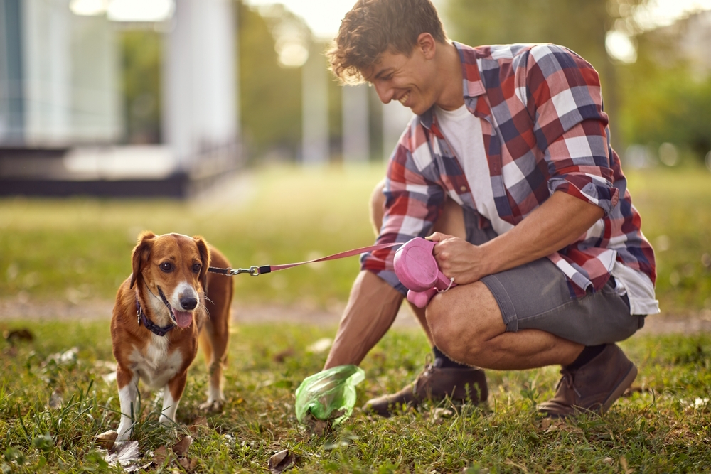 dog-owner-picking-up-dog-poop