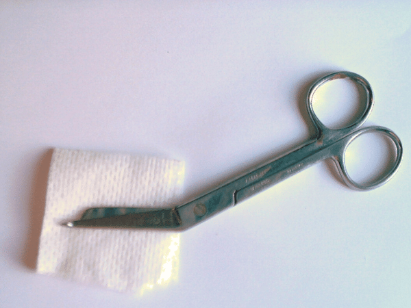 scissors with blunted ends, a useful addition to a dog first aid kit 