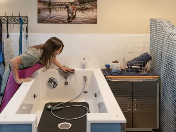 Lily’s Bath & Biscuits, a pet supplies store in Denver with a self-serve dog wash