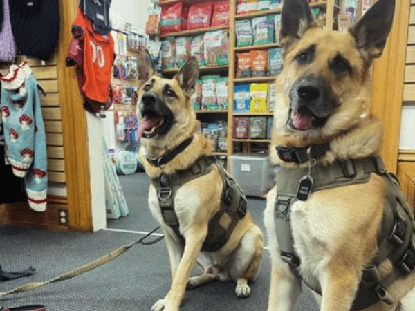 A Pet’s Paradise, a pet supplies store in Denver