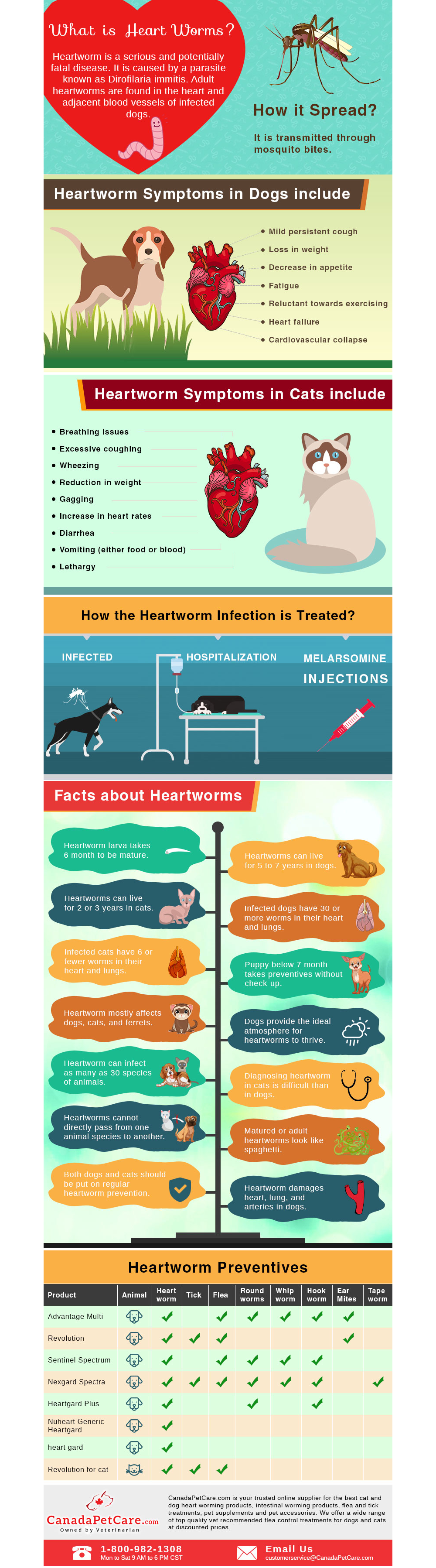 Keep Heartworm Away From Your Pets Heart [Infographic]