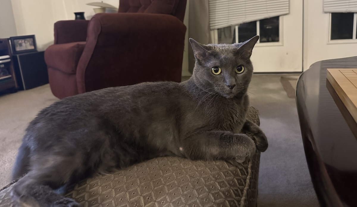 Keep your feet away. This ottoman belongs to me!