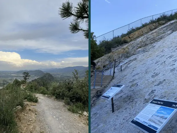 Photos of the Dinosaur Ridge trail and fossils or dinosaur tracks. This is a dog-friendly hike near Denver