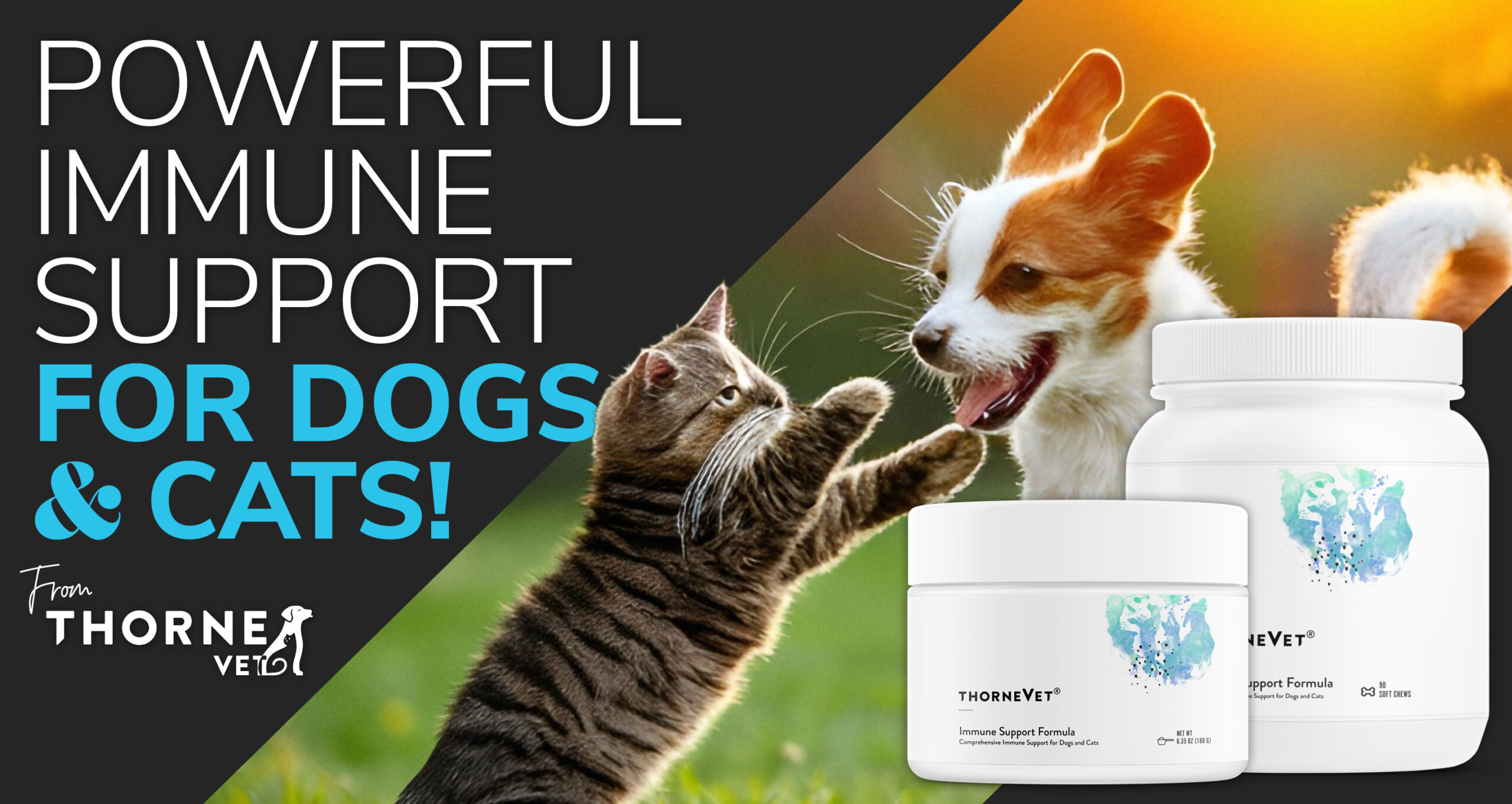 A holistic approach to pet health starts with proper immune support from ThorneVet