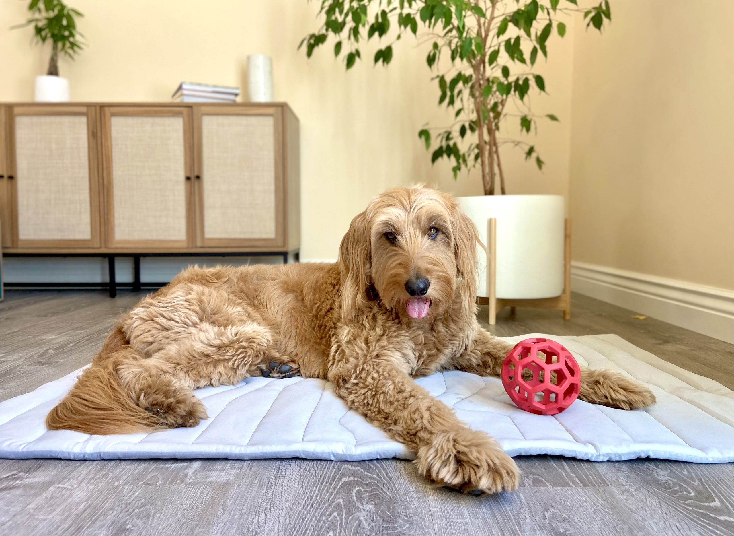 Zonli Pet Cooling Mat