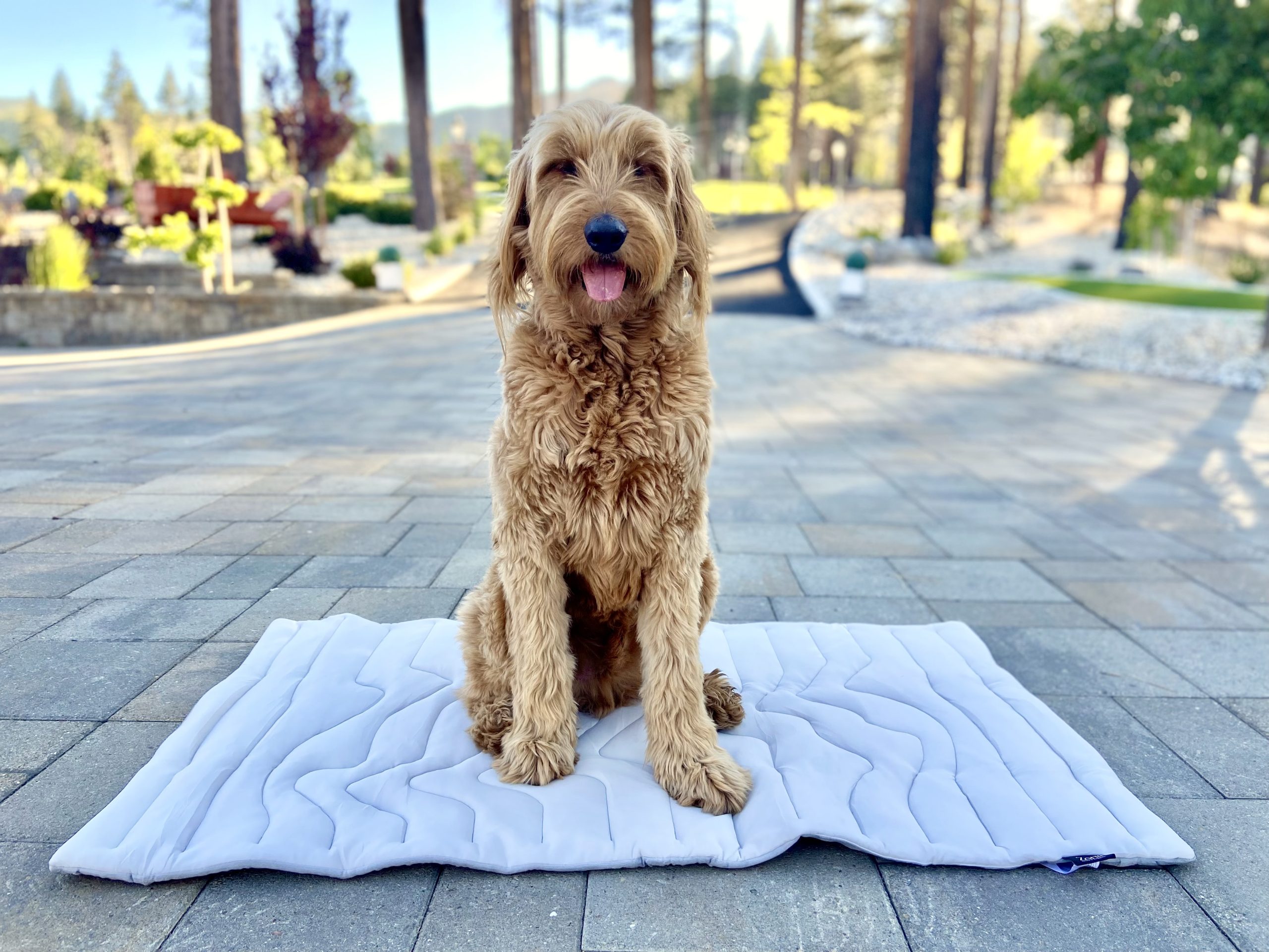 Zonli Pet Cooling Mat