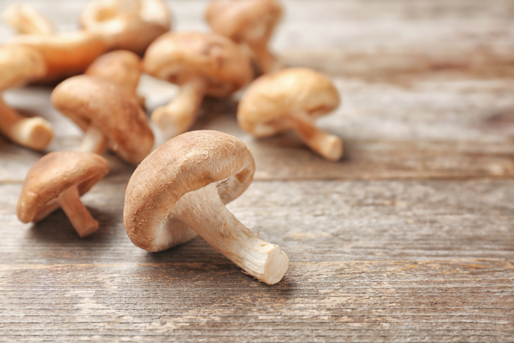 raw shiitake mushrooms on wooden table close up