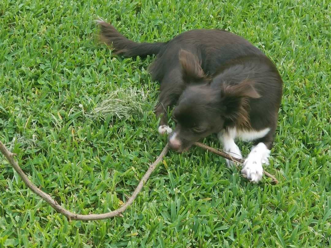 Hi I'm Penny the branch manager.