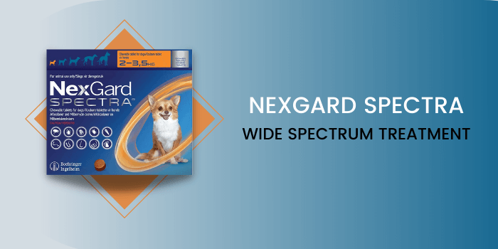 Nexgard Spectra for Dogs