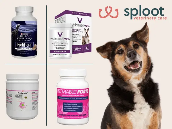 A few examples of vet-preferred best probiotic chews for dogs