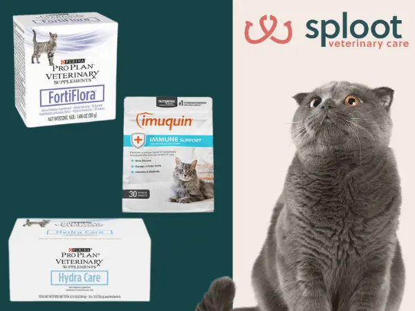 A healthy cat sitting right next to three examples of cat vitamins or multivitamins for cats