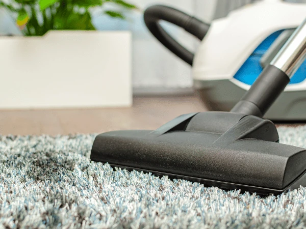 Close-up of a vacuum cleaner, representing one of the ways to prevent the spread of fleas and ticks in the home