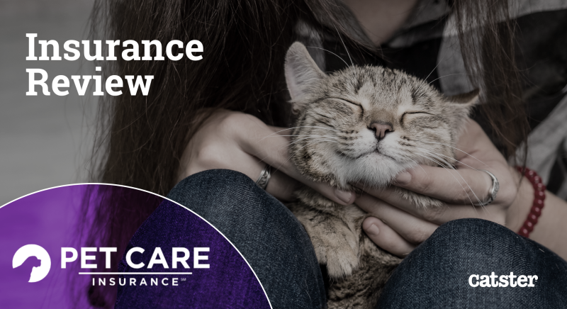 Pet Care Insurance Review 2024: Pros, Cons & Verdict - Pet Lovers Diary