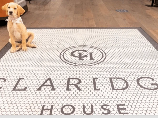 A dog waiting on the doorstep of Claridge House, a dog friendly hotel in Chicago