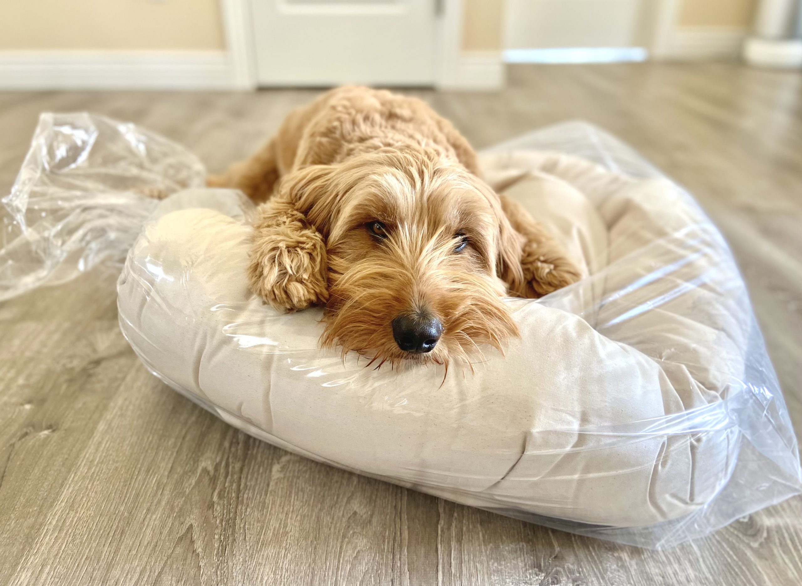 Nest Bedding Dog Bed