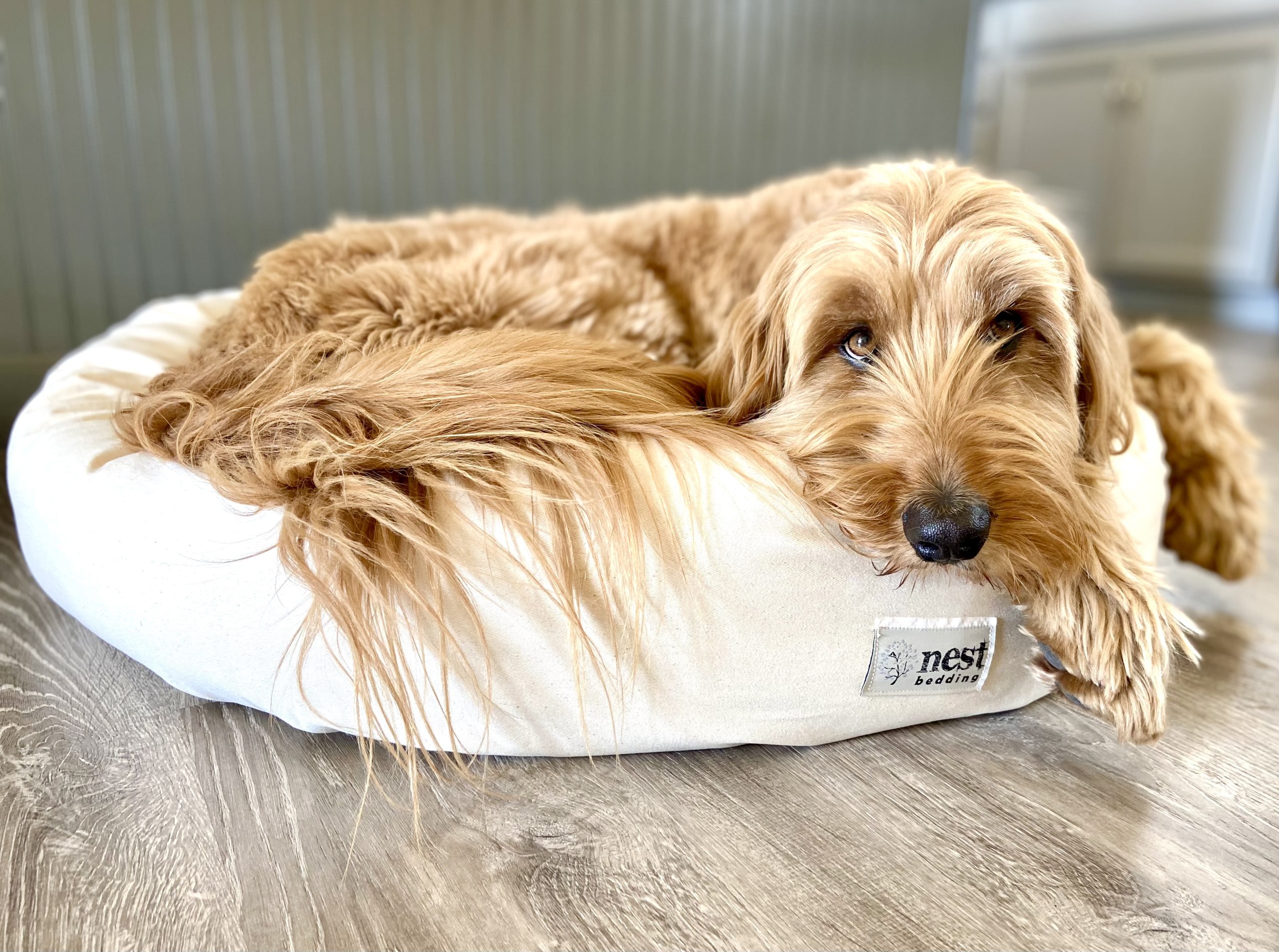 Nest Bedding Dog Bed