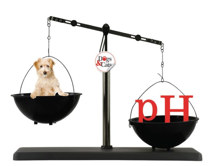 Canine or feline pH imbalance