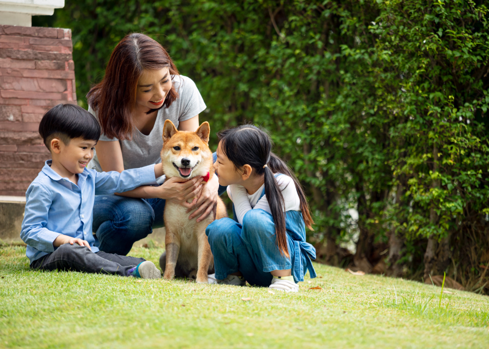 mother and two kids sitting and playing together with Shiba inu dog in public park