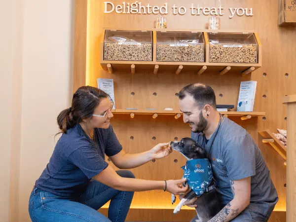 A photo of a Sploot veterinarian chatting with a pet parent about how to clean a dog’s ears at home