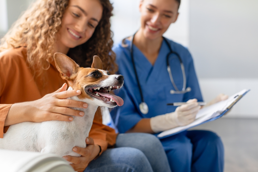 small dog at vet clinic with owner and vet