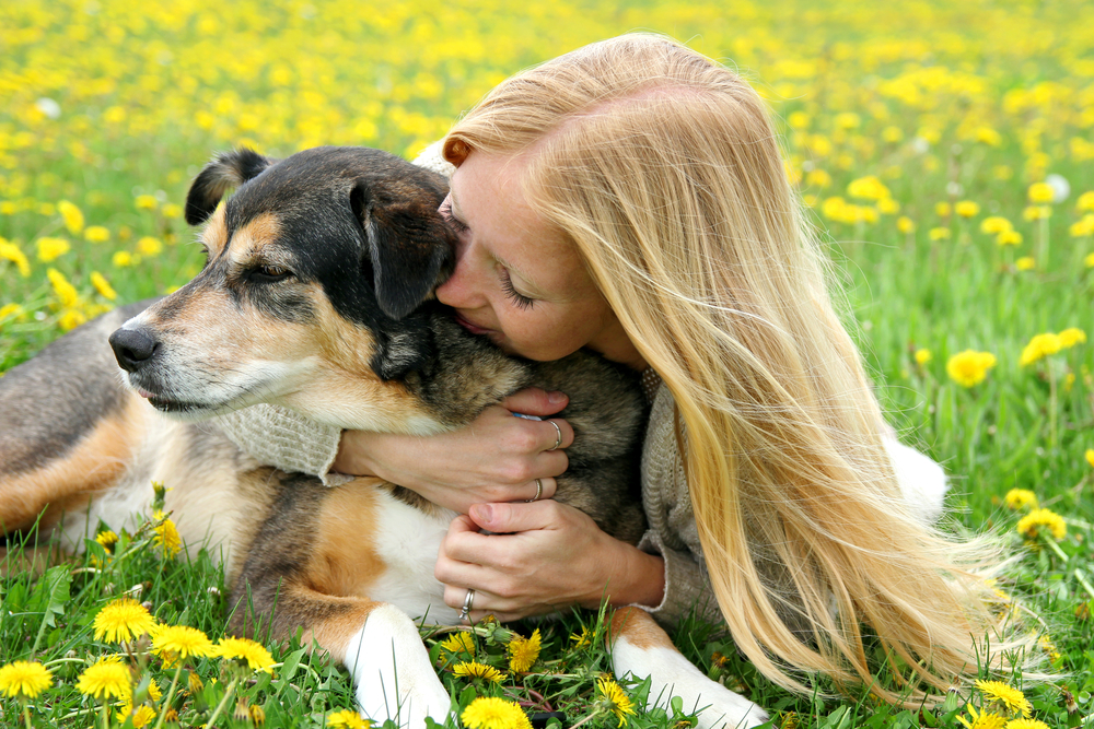 A girl is laying outside in the grass, tenderly hugging her aging German Shepherd mix dog with her eyes closed