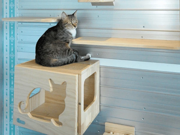 The cat shelves and play structures in Meeow Chicago, one of the best cat boarding facilities or cat hotels in Chicago