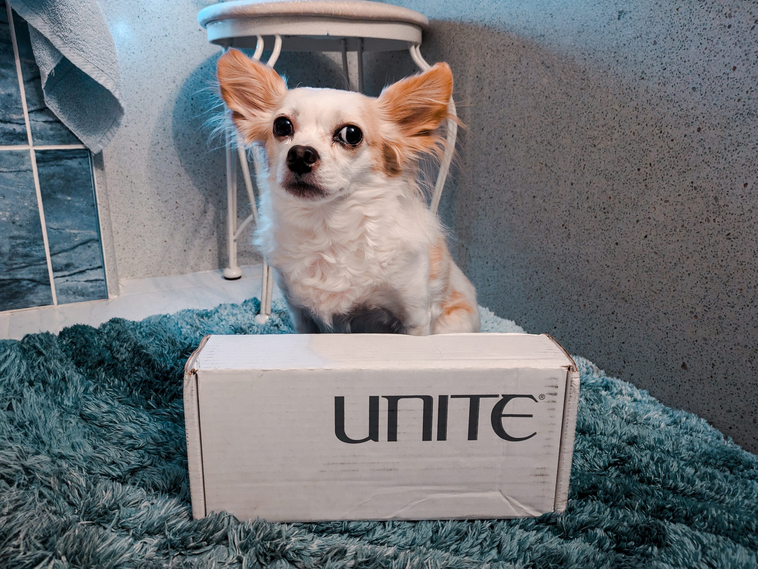 UNITE Hair Dog Grooming Products with dog