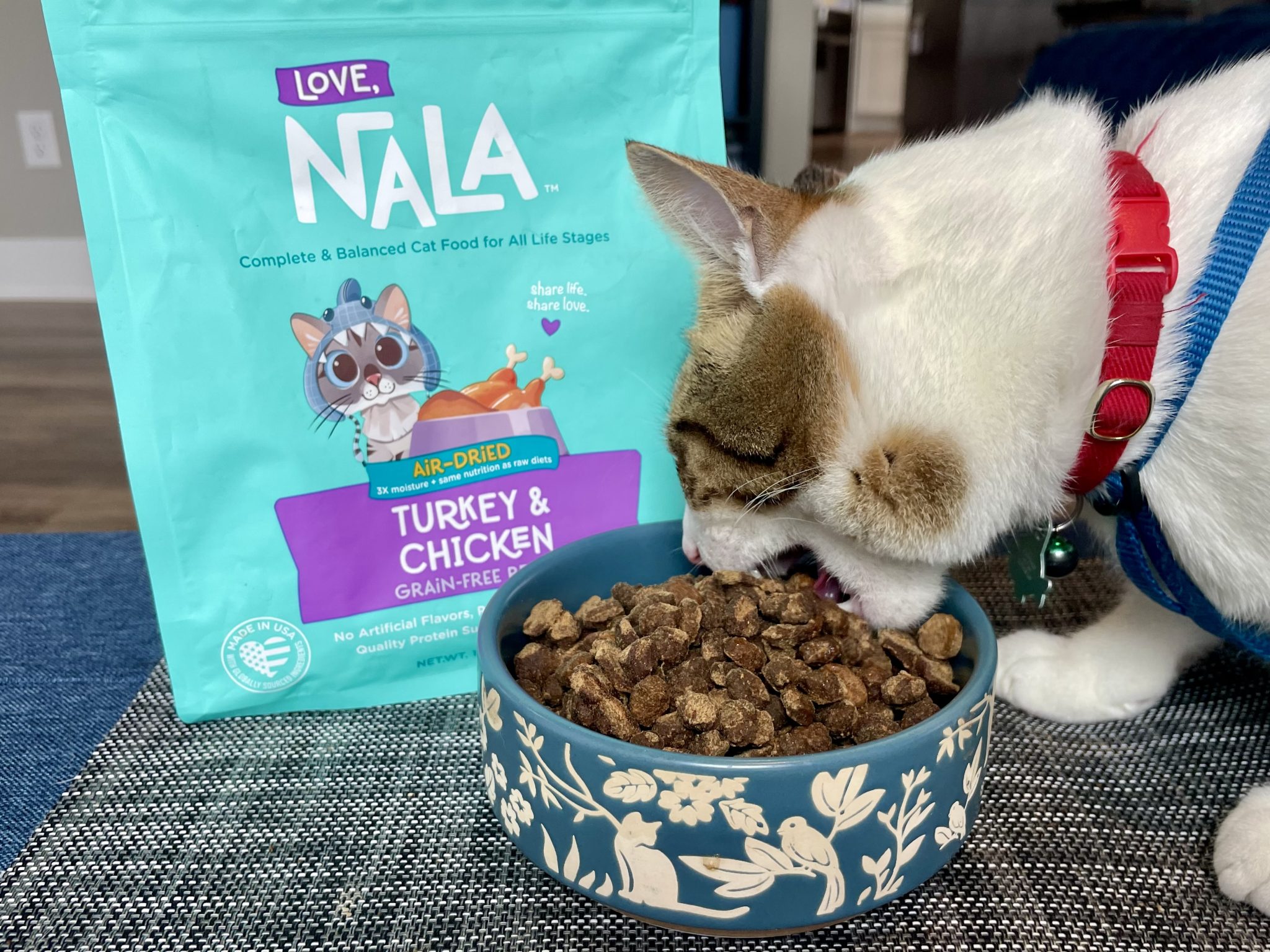 Cat eating Love Nala Cat Food