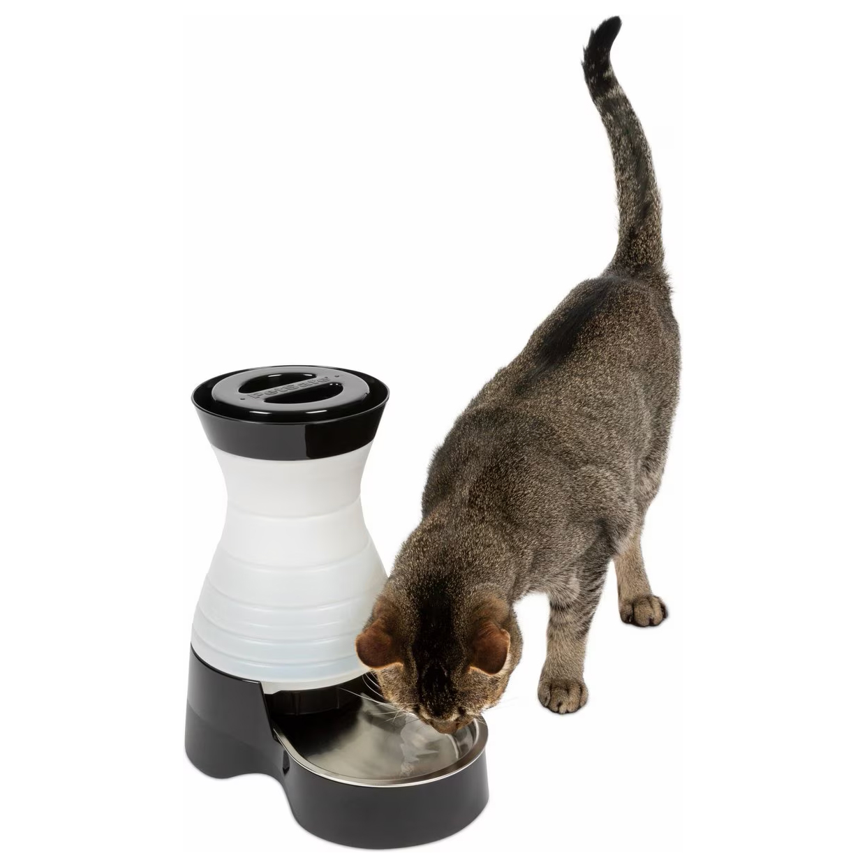 PetSafe Healthy Pet Water Station