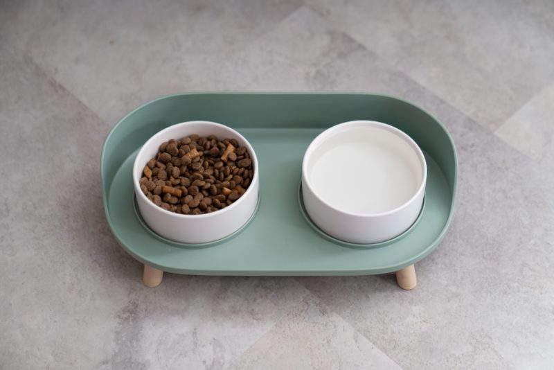 elevated cat water and food bowl