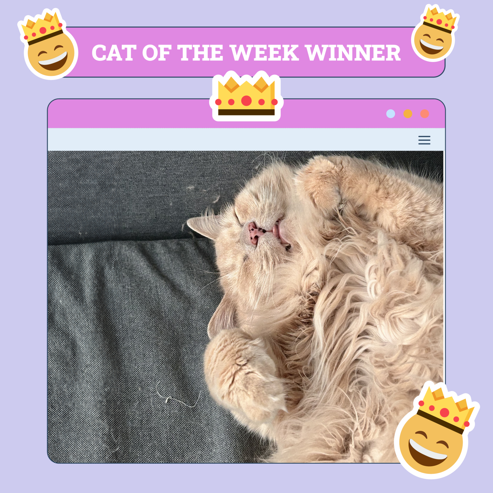 Catster Photo Contest: Cats of the Week Winners (November 14, 2024)