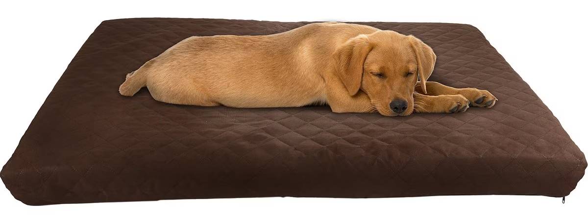 Pet Adobe Waterproof Indoor/Outdoor Memory Foam Dog Bed