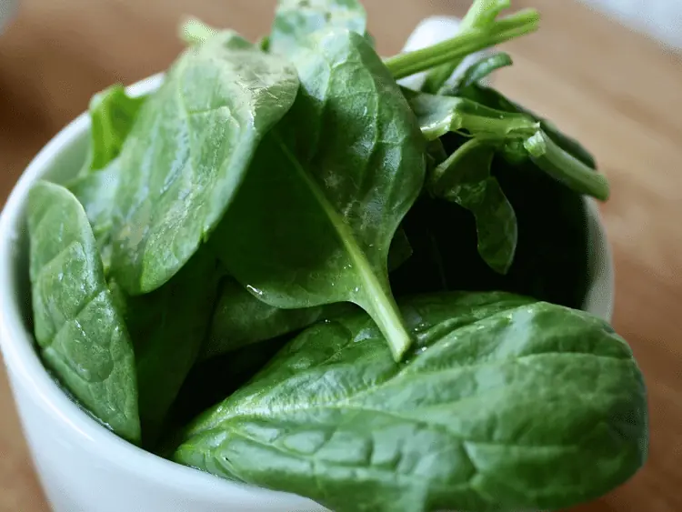 Cooked spinach, which is one of the healthiest human foods that dogs can eat, served inside a bowl.