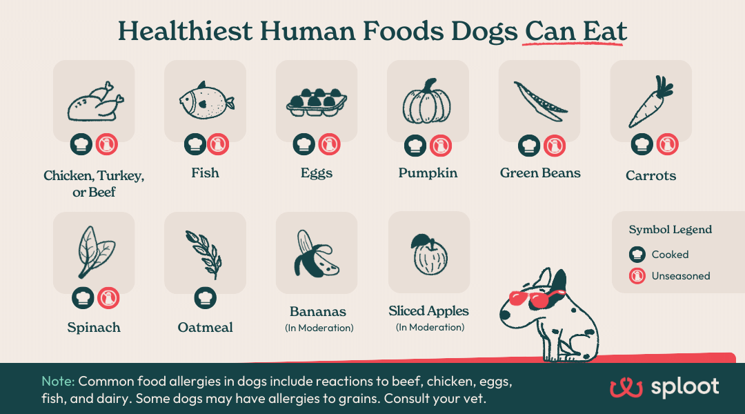 An infographic showing the healthiest human foods that dogs can eat